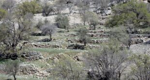 روستای دوران صفوی