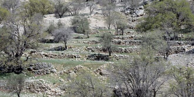 روستای دوران صفوی